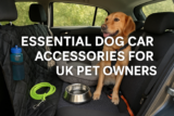 Essential Dog Car Accessories for UK Pet Owners